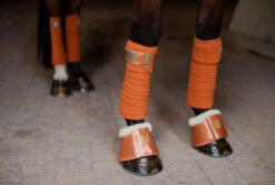 Equestrian Stockholm Fleece Bell Boots Bronze Gold -Equestrian Club bronze gold bandages equestrian stockholm 3 webb 886c9195 f21c 4acc 8c0d e1749a12f076
