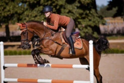 Equestrian Stockholm Jump Saddle Pad Bronze Gold 6 Equestrian Stockholm Jump Saddle Pad Bronze Gold -Equestrian Club bronze gold showjumppadd equestrian stockholm 3 webb