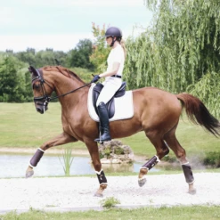 Kentucky Leather Brushing Boots Brown 5 Kentucky Leather Brushing Boots Brown -Equestrian Club c e8502ded370e565d04389cf2c54c4715 article photobook crop 5
