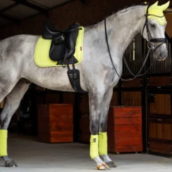 LeMieux Classic Bandages Kiwi -Equestrian Club carbonmeshboots 5 86507dcc 6f71 422d 88b3 b16872969980