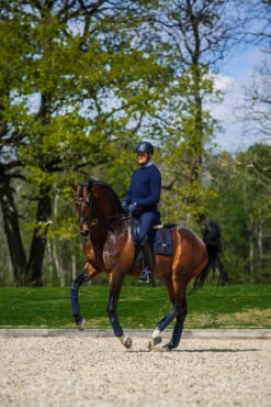 Equestrian Stockholm Dressage Saddle Pad Navy No Boundaries 7 Equestrian Stockholm Dressage Saddle Pad Navy No Boundaries -Equestrian Club dressage saddle pad leather deluxe 4