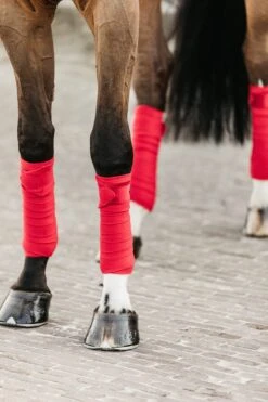 Kentucky Velvet Bandages Red 5 Kentucky Velvet Bandages Red -Equestrian Club e49ba930ace500b790dee434967c4e8b2799e91521a37d8784c9b10c734b8b0b