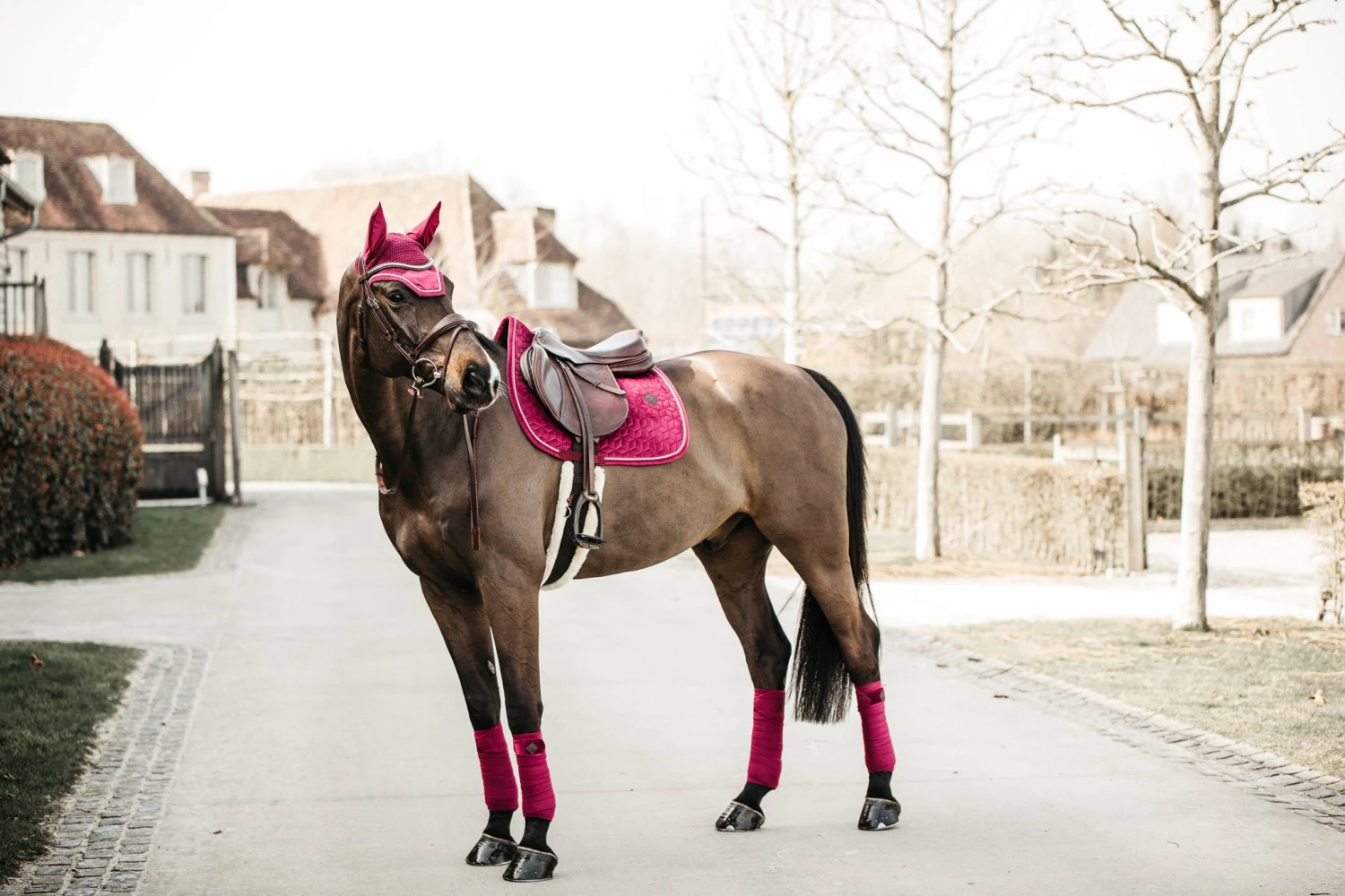 Kentucky Velvet Jump Saddle Pad Fuchsia 4 Kentucky Velvet Jump Saddle Pad Fuchsia - Image 4