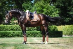 Equito Bandages Hazelnut -Equestrian Club hazelnut 1 scaled 1