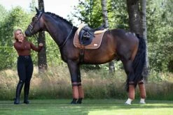 Equito Dressage Saddle Pad Hazelnut -Equestrian Club hazelnut 3 scaled fd85702f e872 4225 8f88 ab07a3da52ff
