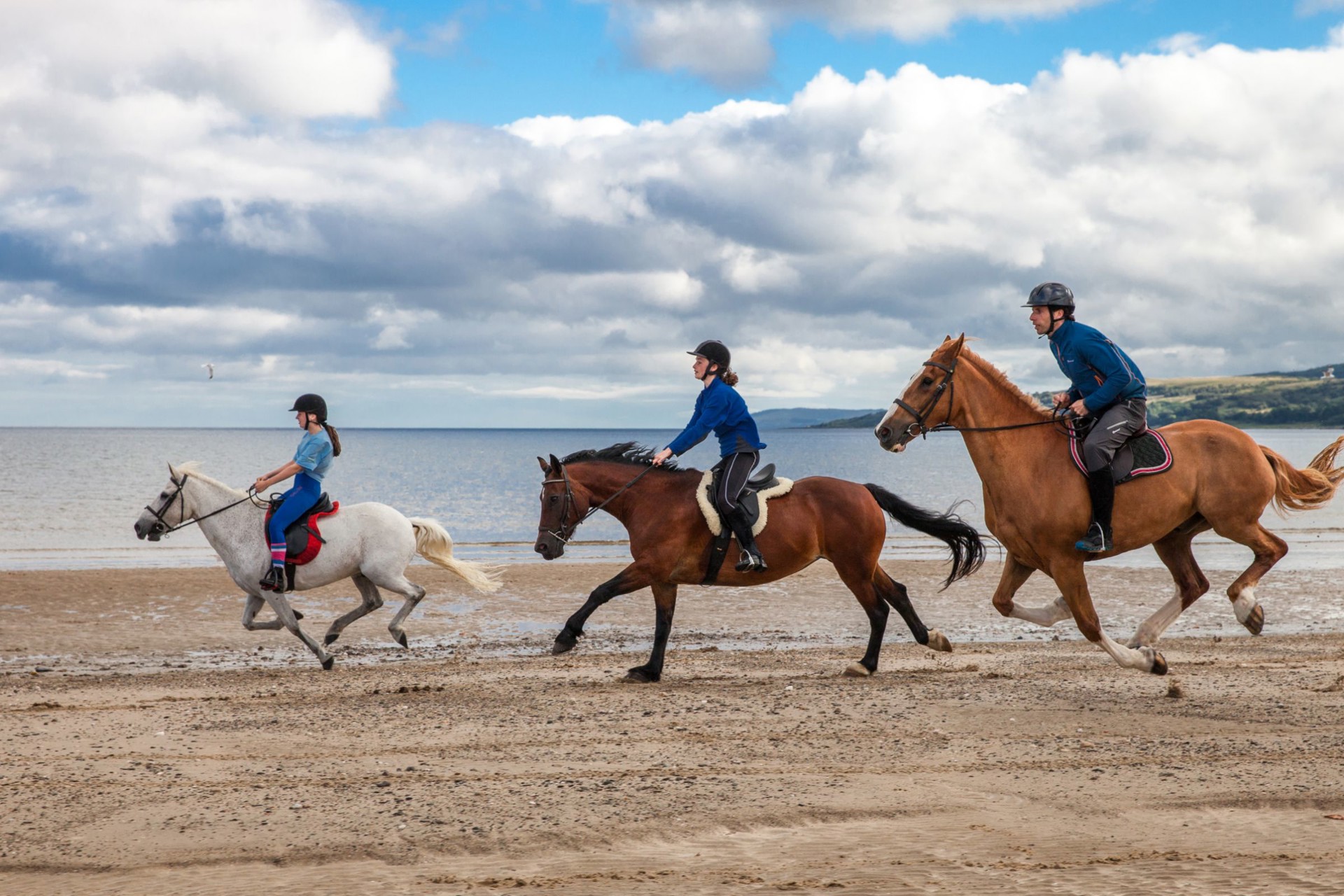 Equestrian Club -Equestrian Club horse riding argyll beach