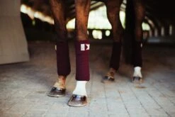Equestrian Stockholm Bandages Merlot Crystal Gold