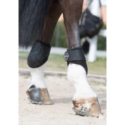 LeMieux Derby Fetlock Boots Black -Equestrian Club image d44a14bf ea24 49eb ac52 b20eae8f4eb5