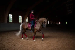 Equestrian Stockholm Dressage Saddle Pad Bordeaux -Equestrian Club image e57d2c3c 9bc4 4fc7 88a1 68f298d7370b