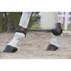 LeMieux Derby Fetlock Boots Brown -Equestrian Club image e6fe8731 7364 4238 b7e6 585fee898f07