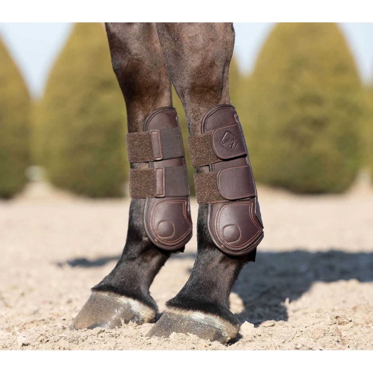 LeMieux Capella Tendon Boots Brown 2 LeMieux Capella Tendon Boots Brown - Image 2