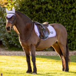 LeMieux Junior Loire Ear Bonnet Wisteria -Equestrian Club lemieux 16 0da11cea 8d28 4bb8 985e d1a29f4c305e