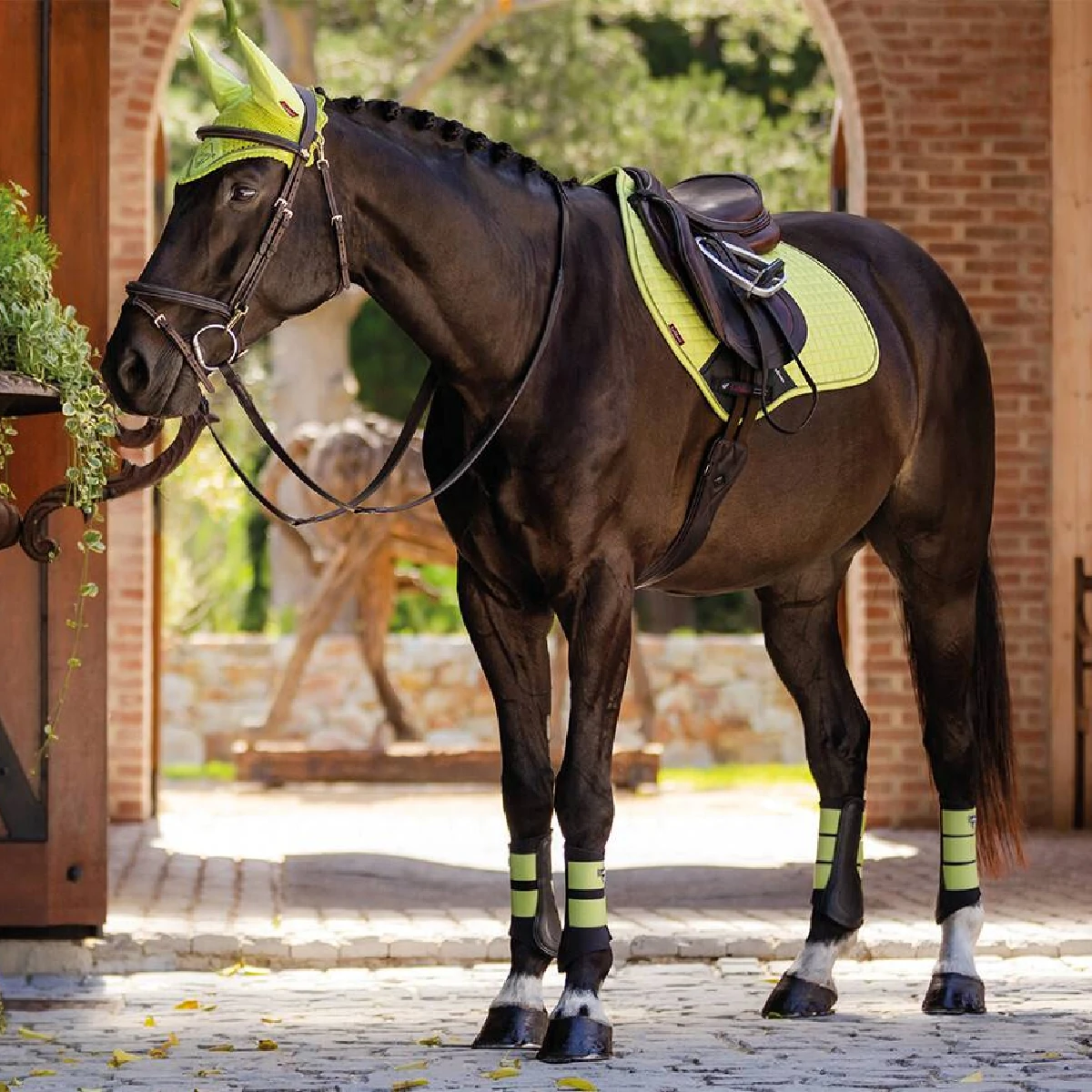 LeMieux Suede Jump Saddle Pad Kiwi 2 LeMieux Suede Jump Saddle Pad Kiwi - Image 2