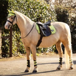 LeMieux Junior Loire Ear Bonnet Kiwi -Equestrian Club lemieux 17 badb5ccd aa0e 4de3 986d bbbbb1dd1a46