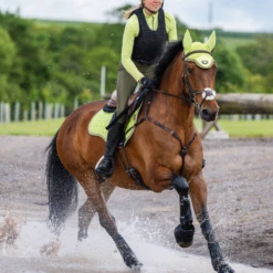 LeMieux Base Layer Kiwi -Equestrian Club lm baselayer kiwi5 hr 4