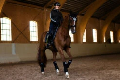 Equestrian Stockholm Ear Bonnet Luminous Black -Equestrian Club luminous black ear net huva fliegenhaube oornetje on2