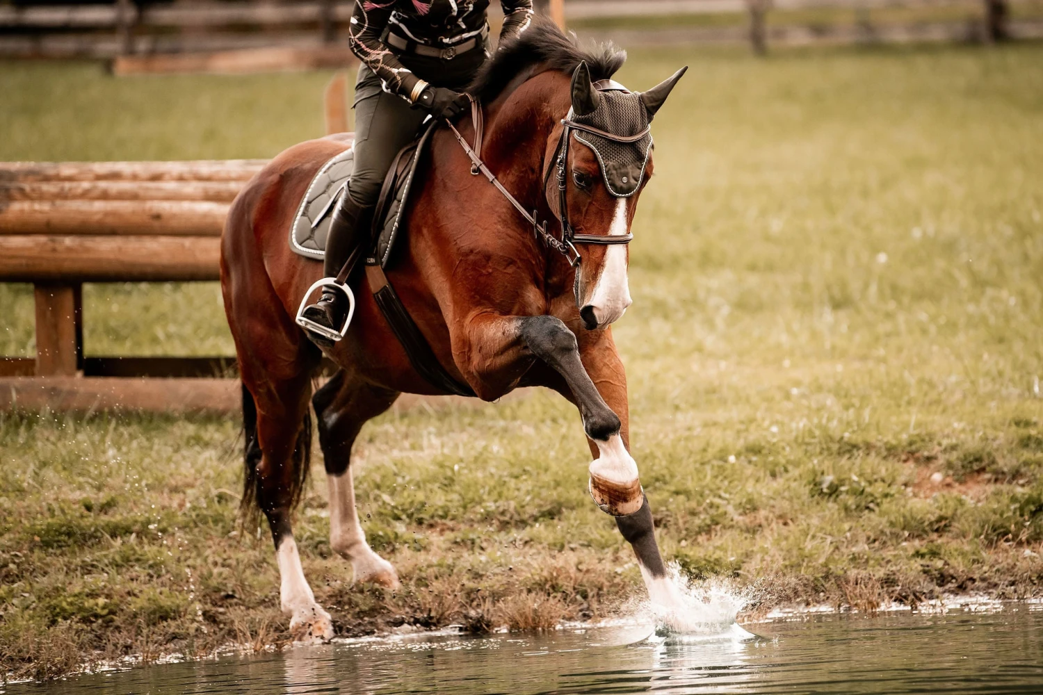 PS Of Sweden Cotton Signature Jump Saddle Pad Forest Green 2 PS Of Sweden Cotton Signature Jump Saddle Pad Forest Green - Image 2