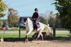Equestrian Stockholm Dressage Saddle Pad Purple Gold -Equestrian Club purple gold cob set esstockholm