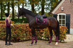 Equestrian Stockholm Bandages Purple Gold -Equestrian Club purple gold fleece bandages equestrian stockholm 3