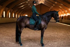 Equestrian Stockholm Dressage Saddle Pad Sycamore Green -Equestrian Club sycamo1
