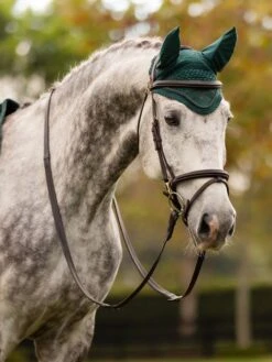 LeMieux Classic Ear Bonnet Spruce -Equestrian Club tracyrobertson aw23 188 copy