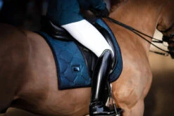 Equestrian Stockholm Elite Dressage Breeches White -Equestrian Club whitebelite breeches dressage ridbyxa dressur reithosen rijbroek dressuur on3